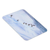 Antarctica, Antarctisch schiereiland. Chinstrap Magneet (Rechterzijde)