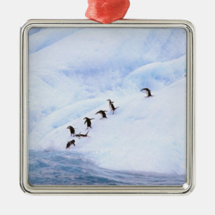 Antarctica, Antarctisch schiereiland. Chinstrap Metalen Ornament