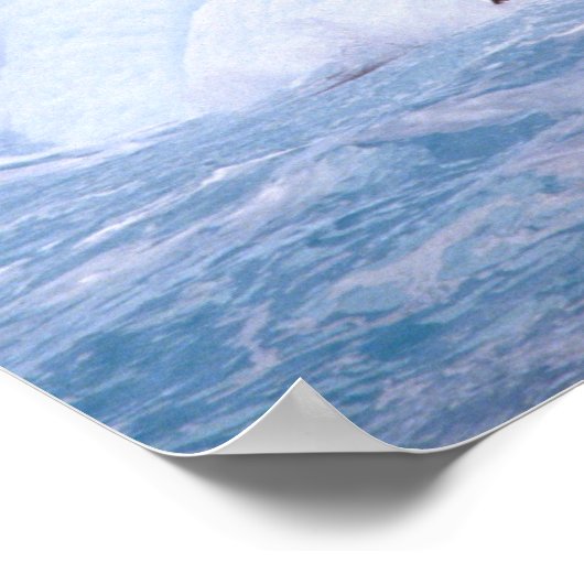 Antarctica, Antarctisch schiereiland. Chinstrap Poster (Hoek)