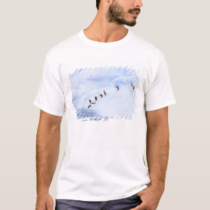 Antarctica, Antarctisch Schiereiland. Kinband T-shirt