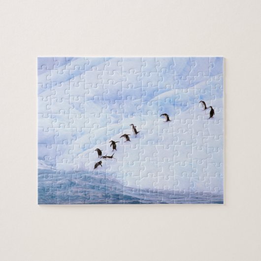 Antarctica, Antarctisch Schiereiland. Kuifpinguïn Legpuzzel (Horizontaal)
