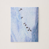 Antarctica, Antarctisch Schiereiland. Kuifpinguïn Legpuzzel (Verticaal)