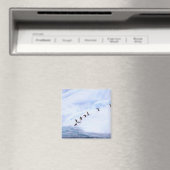Antarctica, Antarctisch Schiereiland. Kuifpinguïn Magneet (Insitu (Vaatwasser))