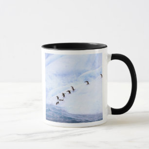 Antarctica, Antarctisch Schiereiland. Kuifpinguïn Mok