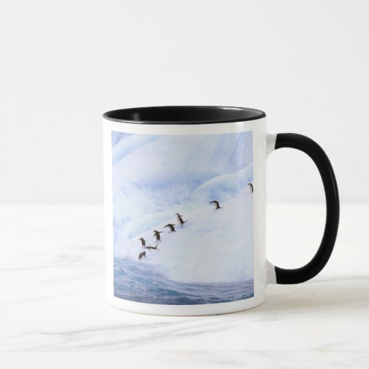 Antarctica, Antarctisch Schiereiland. Kuifpinguïn Mok (Rechts)