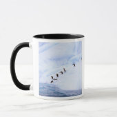 Antarctica, Antarctisch Schiereiland. Kuifpinguïn Mok (Links)