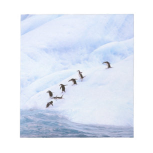 Antarctica, Antarctisch Schiereiland. Kuifpinguïn Notitieblok