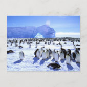 Antarctica, Antarctisch schiereiland, Weddell Zee, Briefkaart (Voorkant)