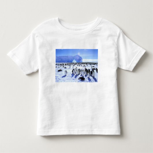 Antarctica, Antarctisch schiereiland, Weddell Zee, Kinder Shirts (Voorkant)