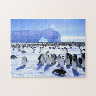 Antarctica, Antarctisch schiereiland, Weddell Zee Legpuzzel
