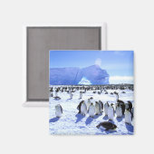 Antarctica, Antarctisch schiereiland, Weddell Zee, Magneet (Voorkant / Achterkant)