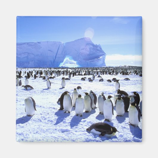 Antarctica, Antarctisch schiereiland, Weddell Zee, Magneet (Voorkant)