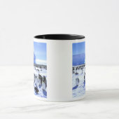 Antarctica, Antarctisch schiereiland, Weddell Zee, Mok (Midden)