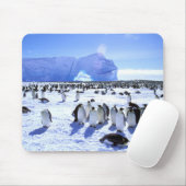 Antarctica, Antarctisch schiereiland, Weddell Zee, Muismat (Met muis)