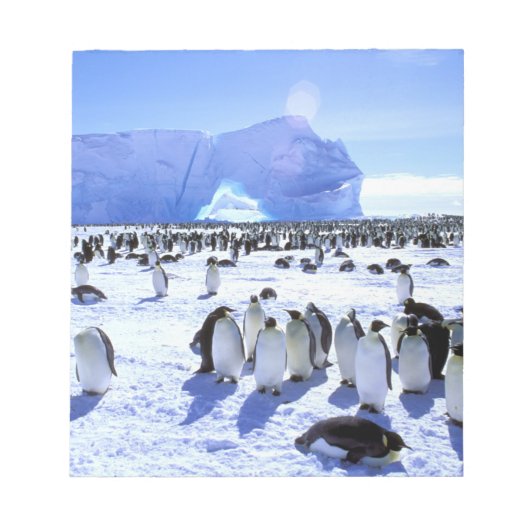 Antarctica, Antarctisch schiereiland, Weddell Zee, Notitieblok (Voorkant)