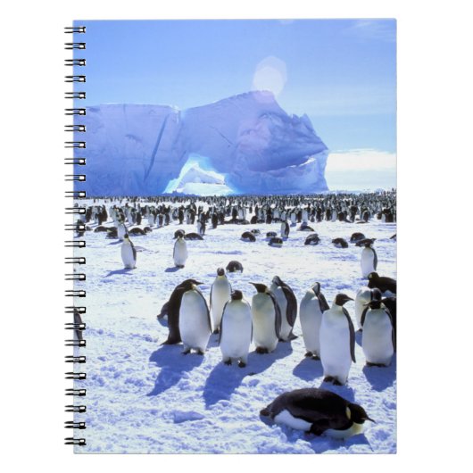 Antarctica, Antarctisch schiereiland, Weddell Zee, Notitieboek (Voorkant)