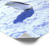 Antarctica, Antarctisch schiereiland, Weddell Zee, Poster (Hoek)