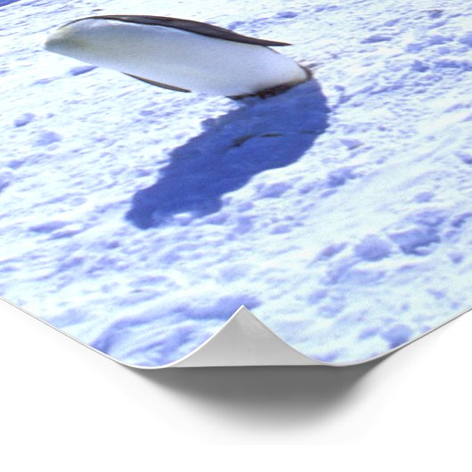 Antarctica, Antarctisch schiereiland, Weddell Zee, Poster (Hoek)