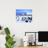 Antarctica, Antarctisch schiereiland, Weddell Zee, Poster (Thuiskantoor)