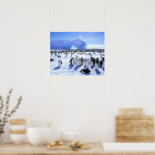 Antarctica, Antarctisch schiereiland, Weddell Zee, Poster (Keuken)