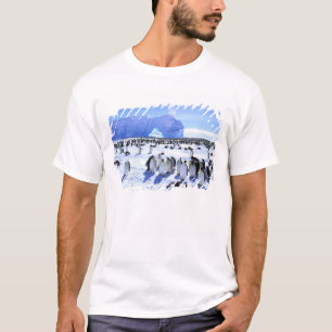 Antarctica, Antarctisch schiereiland, Weddell Zee, T-shirt