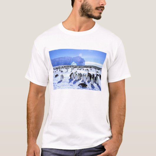 Antarctica, Antarctisch schiereiland, Weddell Zee, T-shirt (Voorkant)
