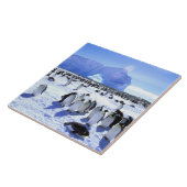 Antarctica, Antarctisch schiereiland, Weddell Zee, Tegeltje (Zijkant)