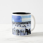 Antarctica, Antarctisch schiereiland, Weddell Zee, Tweekleurige Koffiemok (Voorkant rechts)