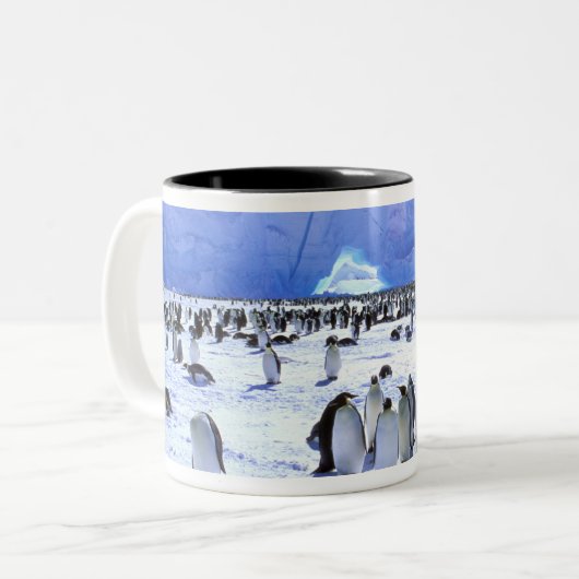 Antarctica, Antarctisch schiereiland, Weddell Zee, Tweekleurige Koffiemok (Voorkant links)