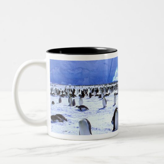 Antarctica, Antarctisch schiereiland, Weddell Zee, Tweekleurige Koffiemok (Links)