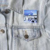 Antarctica, Antarctisch schiereiland, Weddell Zee, Vierkante Button 5,1 Cm (In situ)