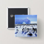 Antarctica, Antarctisch schiereiland, Weddell Zee, Vierkante Button 5,1 Cm (Voorkant /achterkant)