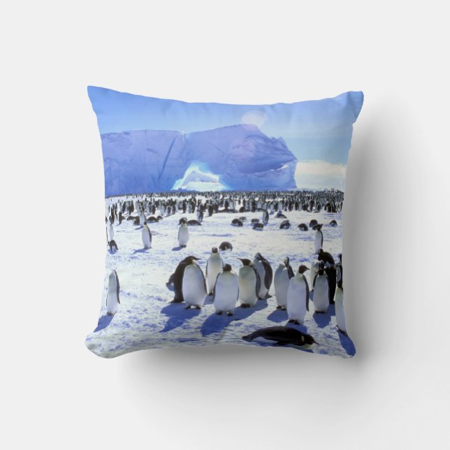 Antarctica, Antarctisch Schiereiland, Weddellzee 5 Kussen (Voorkant)