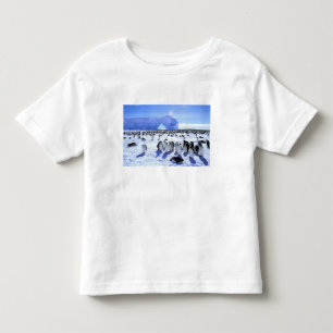 Antarctica, Antarctisch Schiereiland, Weddellzee, Kinder Shirts