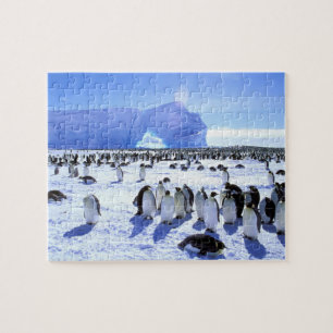 Antarctica, Antarctisch Schiereiland, Weddellzee,  Legpuzzel
