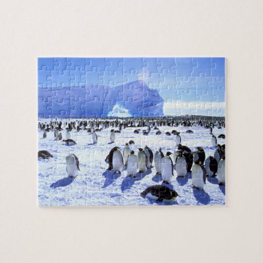 Antarctica, Antarctisch Schiereiland, Weddellzee,  Legpuzzel (Horizontaal)