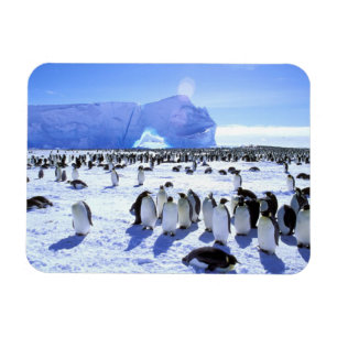 Antarctica, Antarctisch Schiereiland, Weddellzee,  Magneet