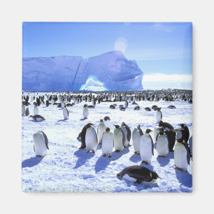 Antarctica, Antarctisch Schiereiland, Weddellzee,  Magneet