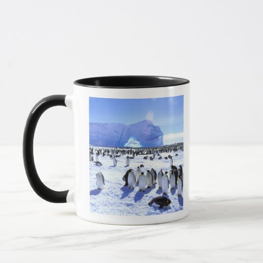 Antarctica, Antarctisch Schiereiland, Weddellzee, Mok (Links)