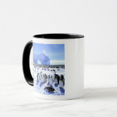 Antarctica, Antarctisch Schiereiland, Weddellzee, Mok (Voorkant links)