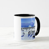 Antarctica, Antarctisch Schiereiland, Weddellzee, Mok (Voorkant rechts)