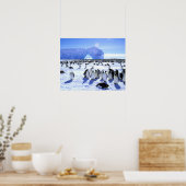Antarctica, Antarctisch Schiereiland, Weddellzee, Poster (Keuken)