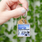 Antarctica, Antarctisch Schiereiland, Weddellzee, Sleutelhanger (Hand)