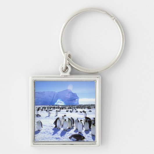 Antarctica, Antarctisch Schiereiland, Weddellzee, Sleutelhanger (Voorkant)