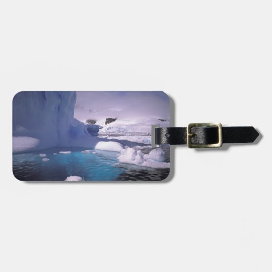 Antarctica. Antarctische ijlluizen 2 Bagagelabel (Voorkant horizontaal)