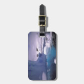 Antarctica. Antarctische ijlluizen 2 Bagagelabel (Voorkant verticaal)