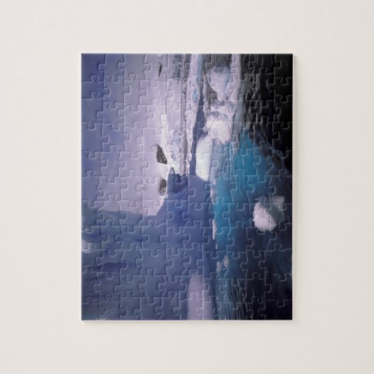 Antarctica. Antarctische ijlluizen 2 Legpuzzel (Verticaal)
