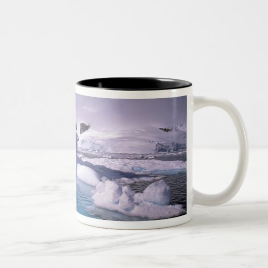 Antarctica. Antarctische ijlluizen 2 Tweekleurige Koffiemok (Rechts)
