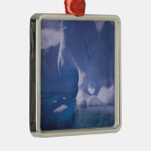 Antarctica. Antarctische ijlluizen 3 Metalen Ornament (Rechts)