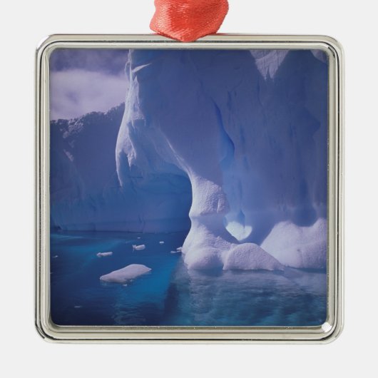 Antarctica. Antarctische ijlluizen 3 Metalen Ornament (Voorkant)